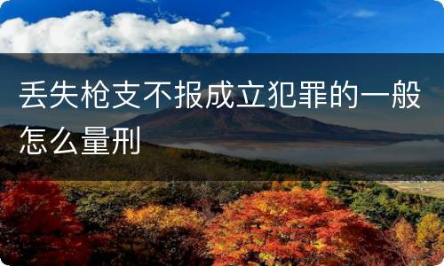 丢失枪支不报成立犯罪的一般怎么量刑