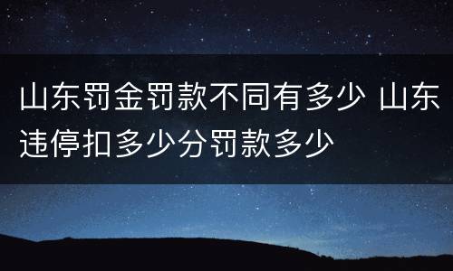 山东罚金罚款不同有多少 山东违停扣多少分罚款多少