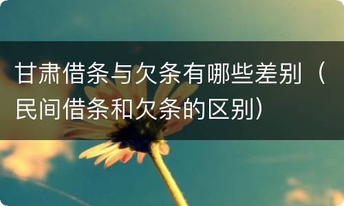 甘肃借条与欠条有哪些差别（民间借条和欠条的区别）