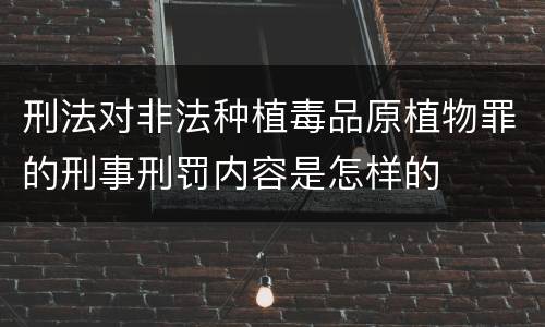 刑法对非法种植毒品原植物罪的刑事刑罚内容是怎样的