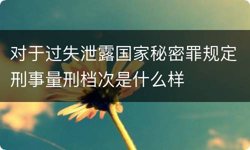 对于过失泄露国家秘密罪规定刑事量刑档次是什么样