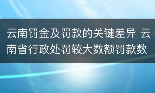 云南罚金及罚款的关键差异 云南省行政处罚较大数额罚款数额