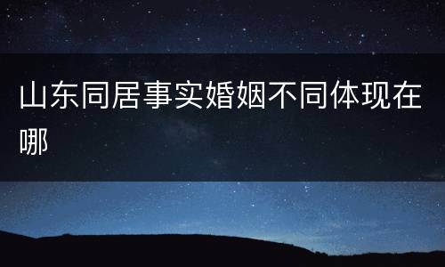 山东同居事实婚姻不同体现在哪