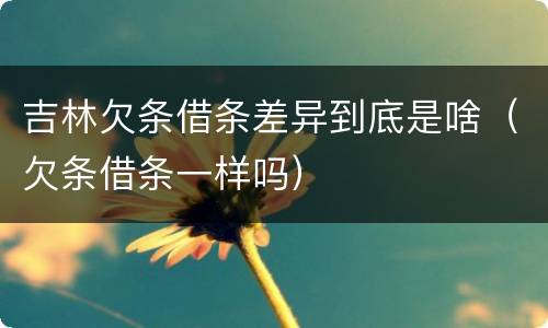吉林欠条借条差异到底是啥（欠条借条一样吗）