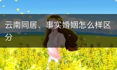 云南同居、事实婚姻怎么样区分