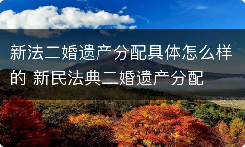 新法二婚遗产分配具体怎么样的 新民法典二婚遗产分配