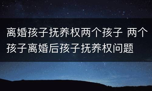 离婚孩子抚养权两个孩子 两个孩子离婚后孩子抚养权问题