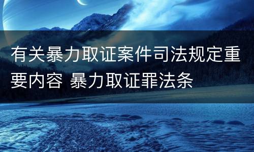 有关暴力取证案件司法规定重要内容 暴力取证罪法条