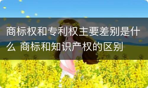 商标权和专利权主要差别是什么 商标和知识产权的区别