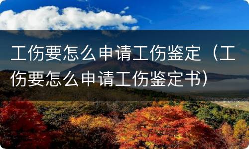 工伤要怎么申请工伤鉴定（工伤要怎么申请工伤鉴定书）