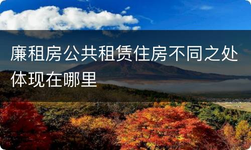 廉租房公共租赁住房不同之处体现在哪里
