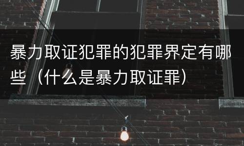 暴力取证犯罪的犯罪界定有哪些（什么是暴力取证罪）