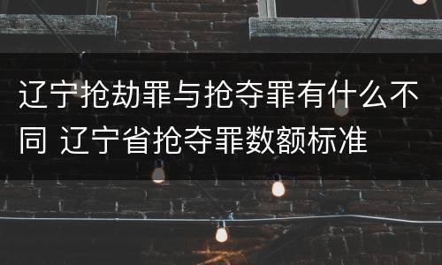 辽宁抢劫罪与抢夺罪有什么不同 辽宁省抢夺罪数额标准