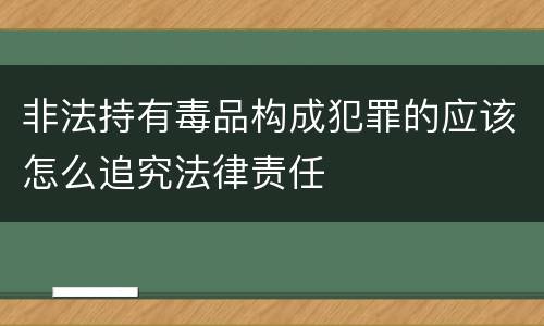 非法持有毒品构成犯罪的应该怎么追究法律责任