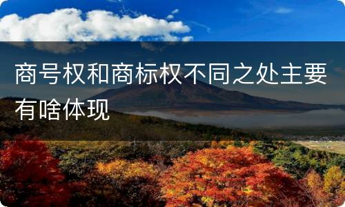 商号权和商标权不同之处主要有啥体现