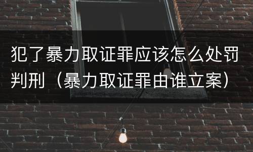 犯了暴力取证罪应该怎么处罚判刑（暴力取证罪由谁立案）
