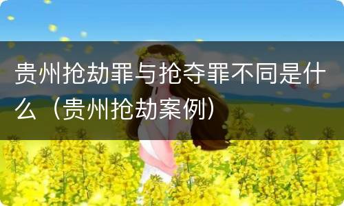 贵州抢劫罪与抢夺罪不同是什么（贵州抢劫案例）