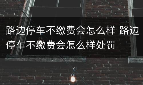 路边停车不缴费会怎么样 路边停车不缴费会怎么样处罚