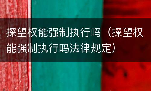 探望权能强制执行吗（探望权能强制执行吗法律规定）