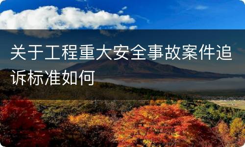 关于工程重大安全事故案件追诉标准如何
