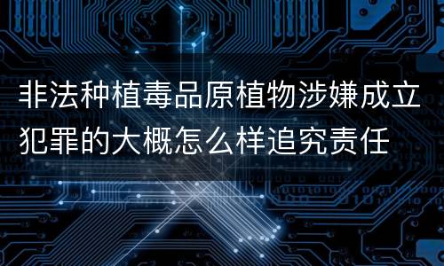 非法种植毒品原植物涉嫌成立犯罪的大概怎么样追究责任
