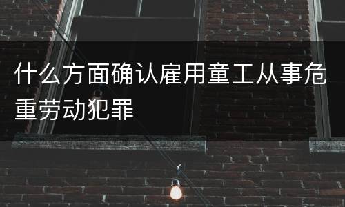 什么方面确认雇用童工从事危重劳动犯罪
