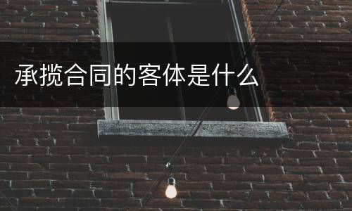 承揽合同的客体是什么