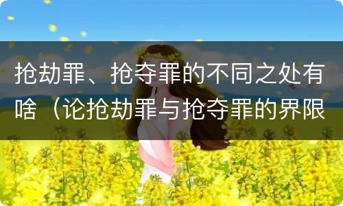 抢劫罪、抢夺罪的不同之处有啥（论抢劫罪与抢夺罪的界限）