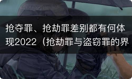 抢夺罪、抢劫罪差别都有何体现2022（抢劫罪与盗窃罪的界限）
