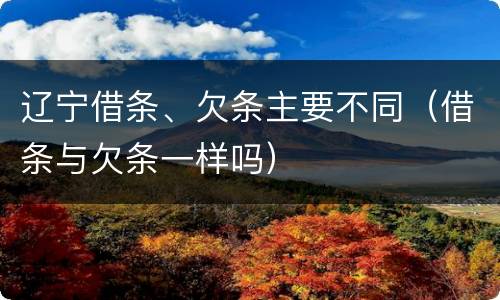 辽宁借条、欠条主要不同（借条与欠条一样吗）