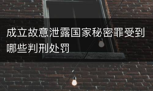 成立故意泄露国家秘密罪受到哪些判刑处罚