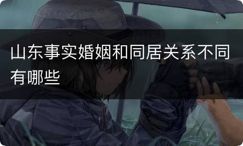 山东事实婚姻和同居关系不同有哪些