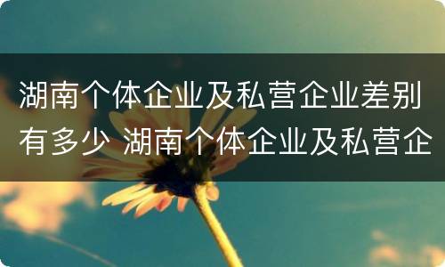 湖南个体企业及私营企业差别有多少 湖南个体企业及私营企业差别有多少个