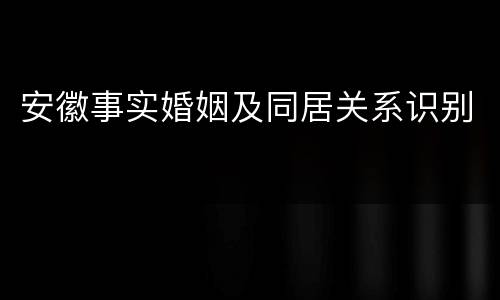 安徽事实婚姻及同居关系识别
