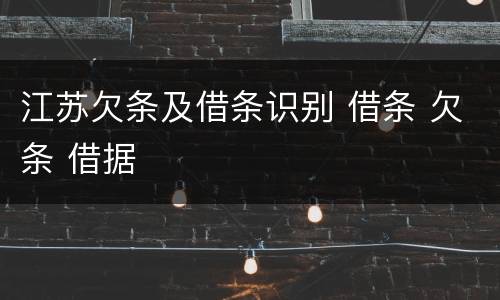 江苏欠条及借条识别 借条 欠条 借据