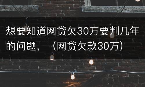 想要知道网贷欠30万要判几年的问题，（网贷欠款30万）