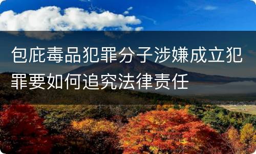 包庇毒品犯罪分子涉嫌成立犯罪要如何追究法律责任