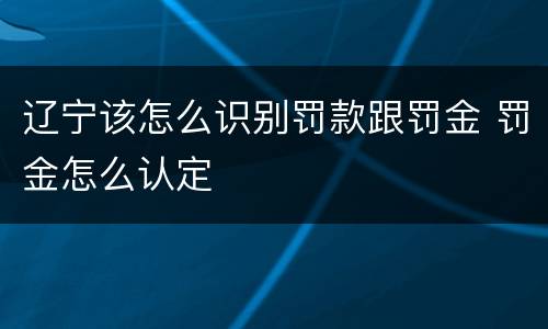 辽宁该怎么识别罚款跟罚金 罚金怎么认定