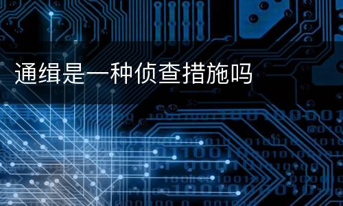 通缉是一种侦查措施吗