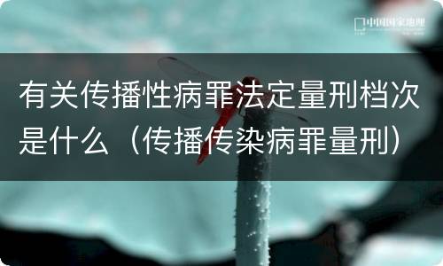 有关传播性病罪法定量刑档次是什么（传播传染病罪量刑）