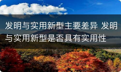 发明与实用新型主要差异 发明与实用新型是否具有实用性