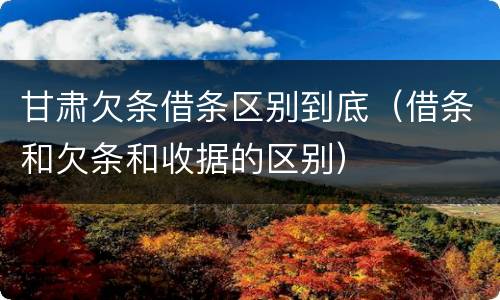 甘肃欠条借条区别到底（借条和欠条和收据的区别）