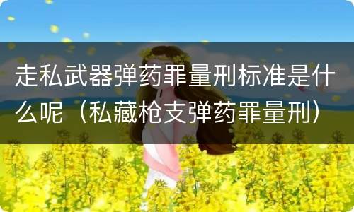 走私武器弹药罪量刑标准是什么呢（私藏枪支弹药罪量刑）