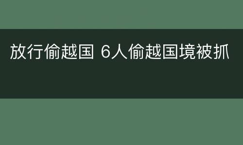 放行偷越国 6人偷越国境被抓