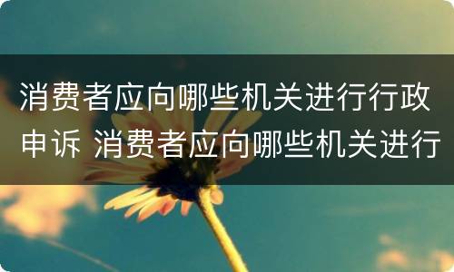 消费者应向哪些机关进行行政申诉 消费者应向哪些机关进行行政申诉处罚