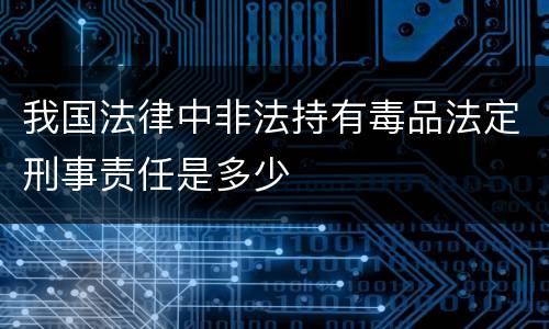 我国法律中非法持有毒品法定刑事责任是多少