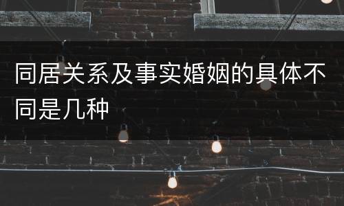 同居关系及事实婚姻的具体不同是几种