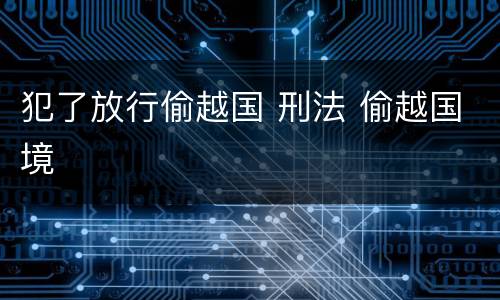 犯了放行偷越国 刑法 偷越国境