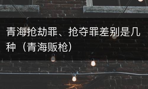 青海抢劫罪、抢夺罪差别是几种(青海贩枪)