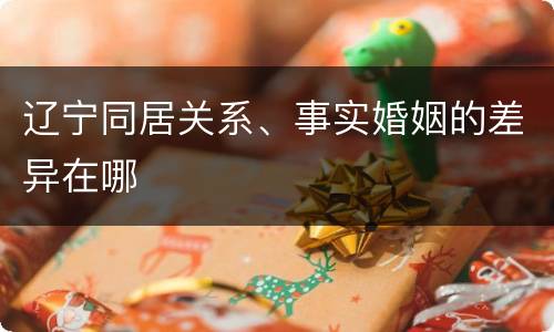 辽宁同居关系、事实婚姻的差异在哪